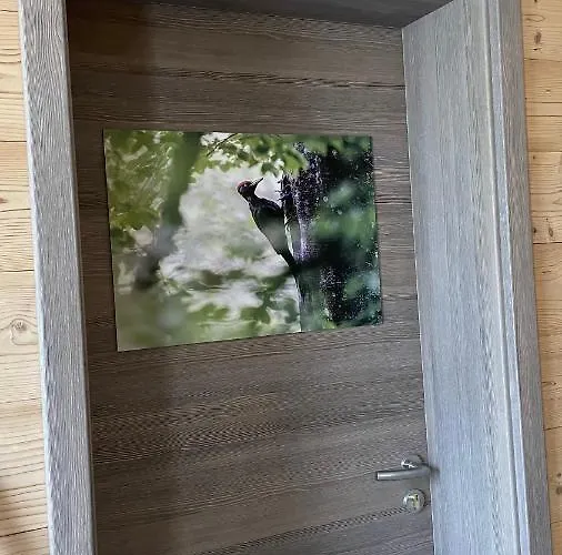 Le Pic Noir Apartmán Gérardmer